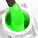 Spider Gel - Neon Green  4g