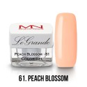 LeGrande gel - 61. Peach Blossom 4g